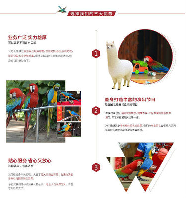 動物表演租賃公司,創(chuàng)意馬戲團表演
